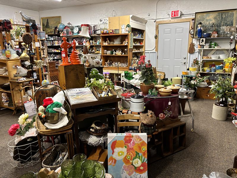A wide view of the sales floor with plants, furniture and shelves of décor